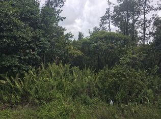 10th Ave LOT 1637, Keaau, HI 96749