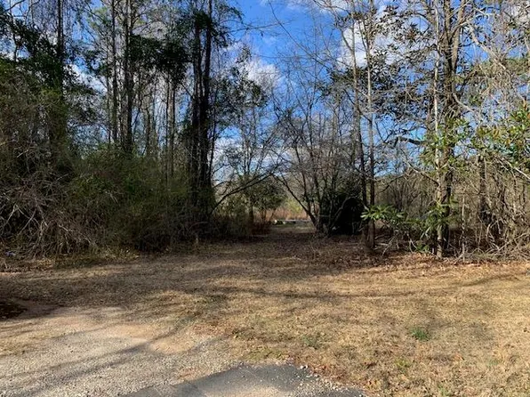 19251 State Highway 116, Shiloh, GA 31826