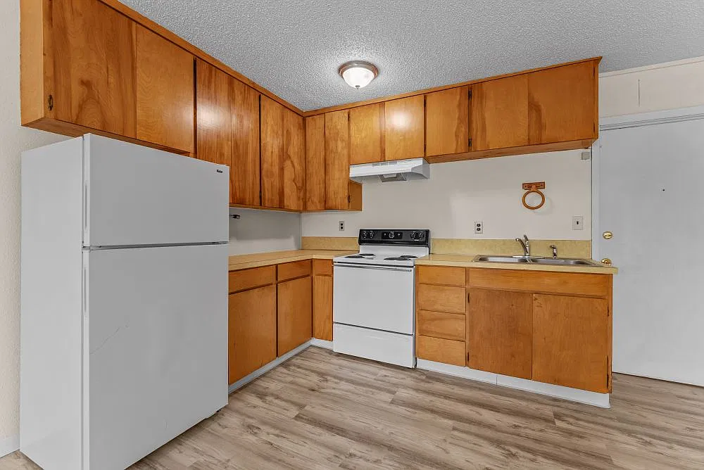 1 bed, $1,100 — Photo 4