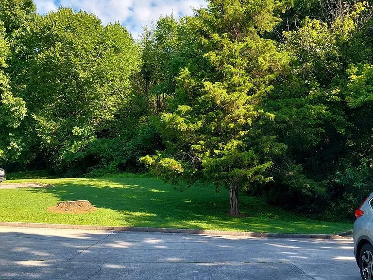View from front door