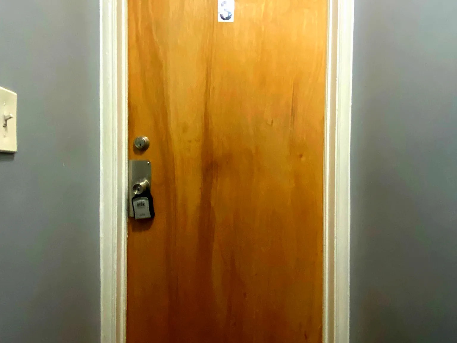 1 bed, 900 sqft, $950 — Photo 2
