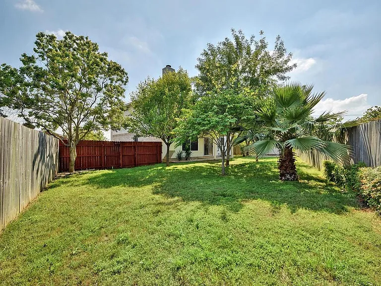 Luscious backyard