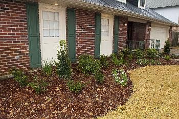 4th image of 22 Monte Carlo Dr