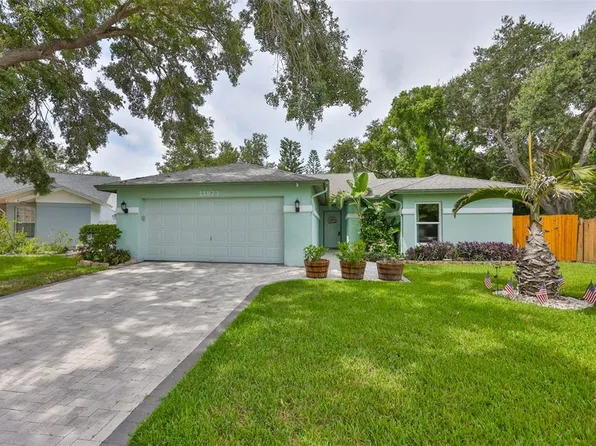 11823 Cedarfield Dr, Riverview, FL 33579