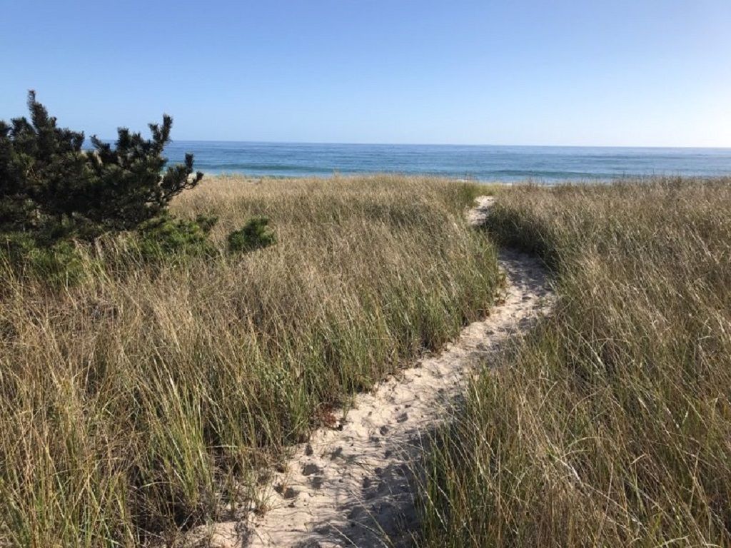  Direct access to ocean beachfront