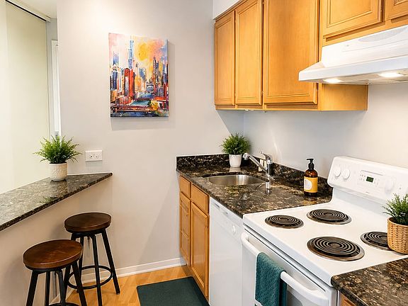 4th image of 300 N State St APT 4205