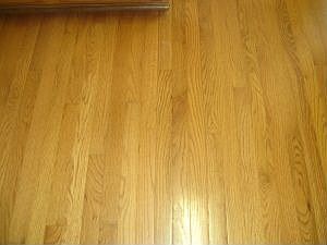 5th image of 2365 E Buffalo Dr