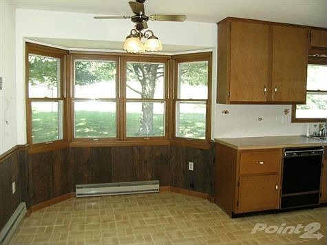 And Watch The Horses Play....