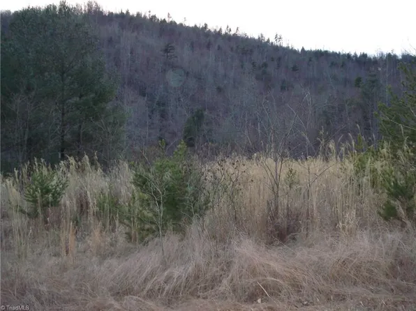 0 Sheets Gap Rd, Millers Creek, NC 28651