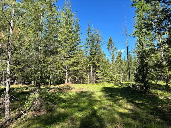 Nhn Little Beaver Creek Rd, Trout Creek, MT 59874