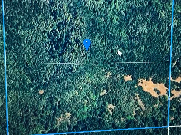 164 Conklin Creek Rd, Petrolia, CA 95558