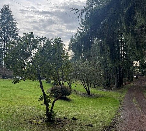front yard and driveway