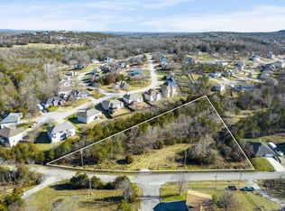 390 Walkington Ln, Branson, MO 65616