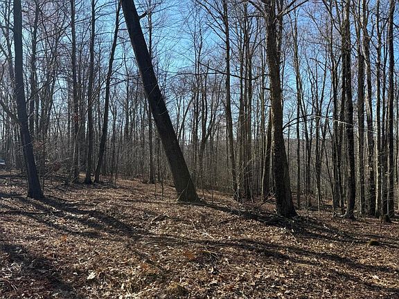 4th image of Ash Gap Rd