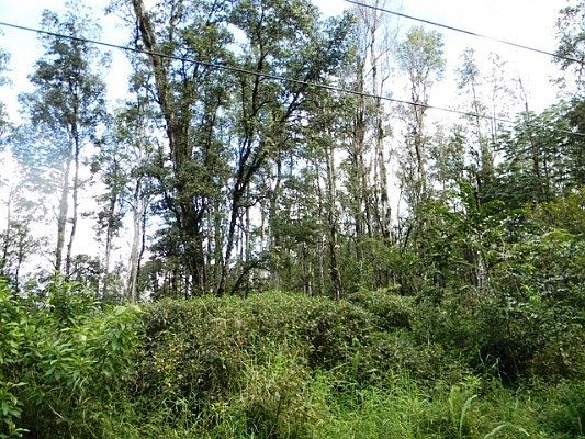 5th image of 16-2107 Tangerine Dr Lot 47