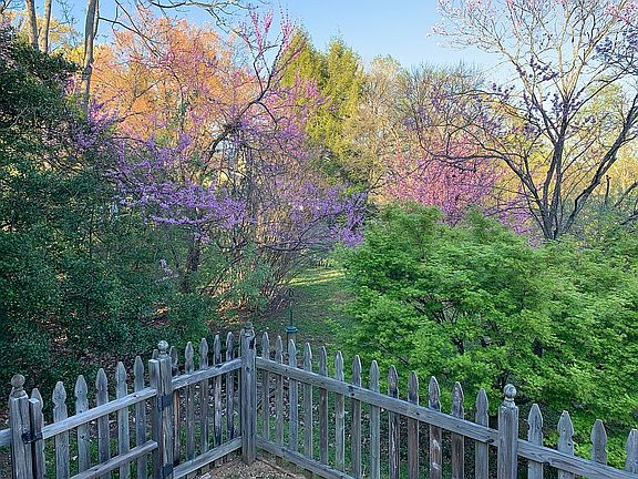 Spring time in the courtyard