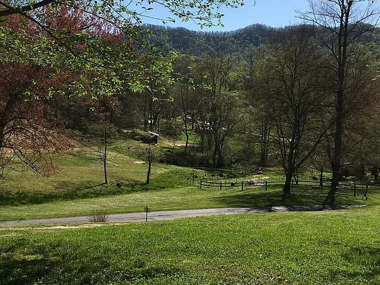 View from Screened Porch