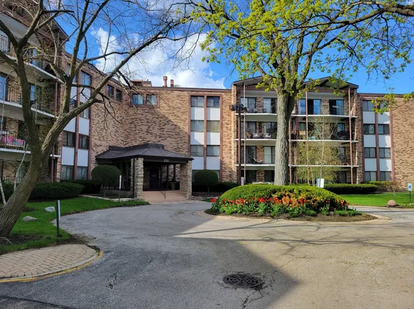 250 W Parliament Pl APT 307, Mount Prospect, IL 60056