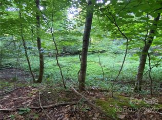 U 8 Blueberry Hill Rd UNIT 8, Brevard, NC 28712