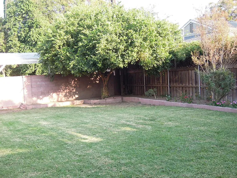 backyard