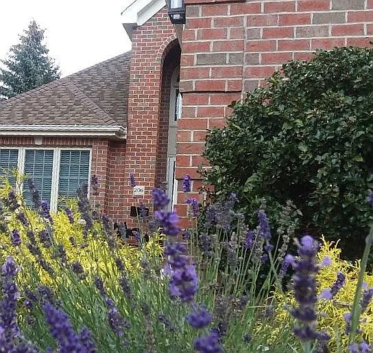 206 Victoria Ln photo 1