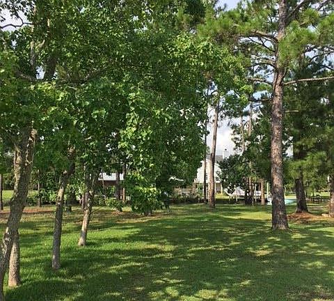 3rd image of 107 Palmwood Dr