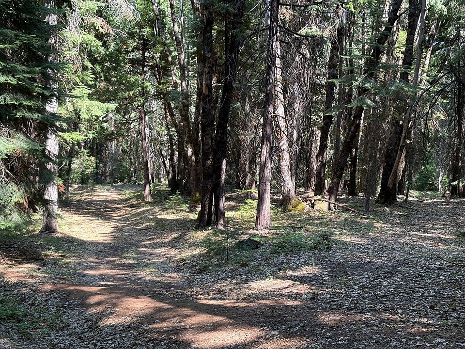 2nd image of Castle Lake Rd