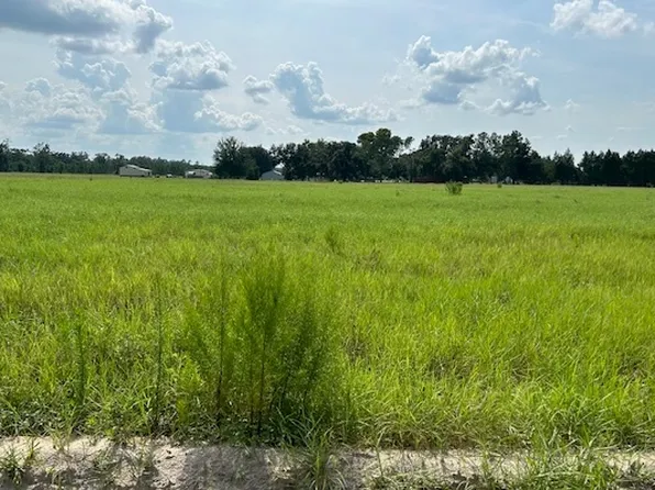 38 Southwest Ave, Jasper, FL 32052