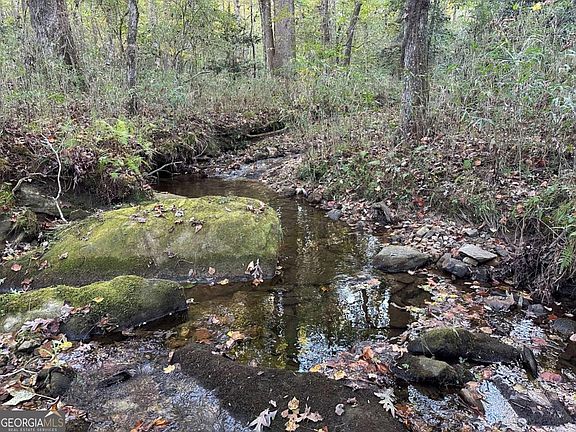 5th image of 0 Lee Mashburn Rd