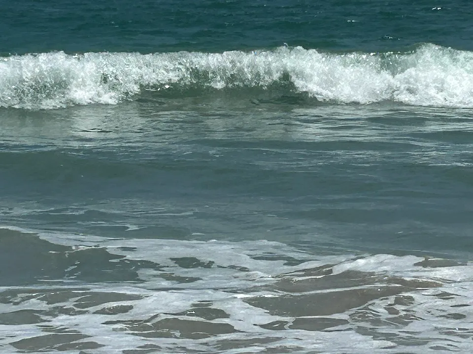 3150 N Highway A1A #301