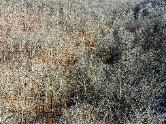 4th image of 765 Neff Rd