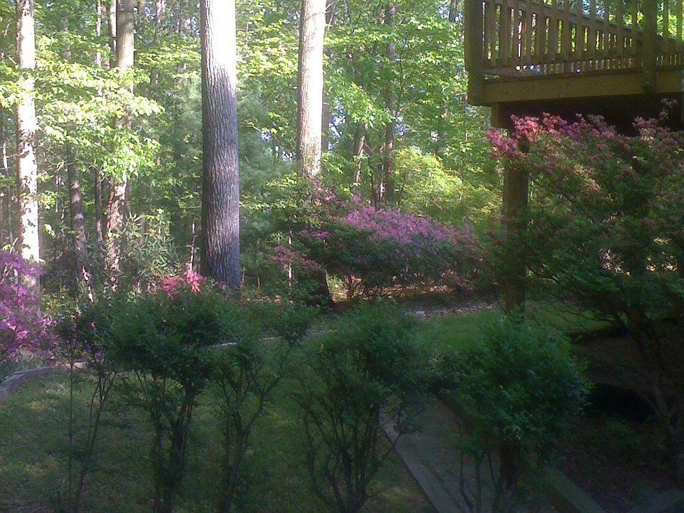 backyard w/ wrap around deck