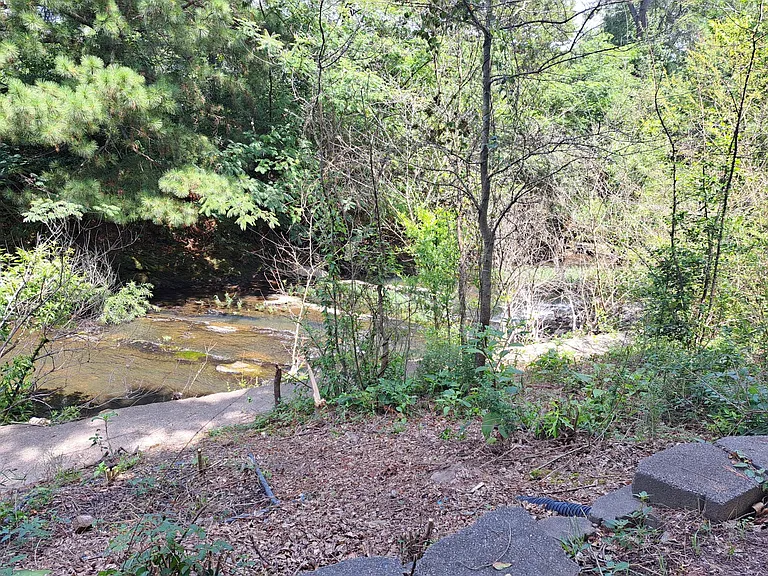 224 Dryad Ln — Photo 12