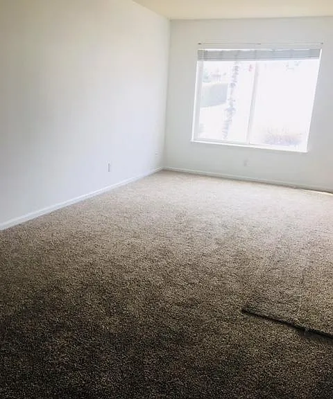 west facing living room window