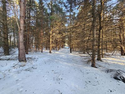 2600 S Scottville Rd, Scottville, MI, 49454