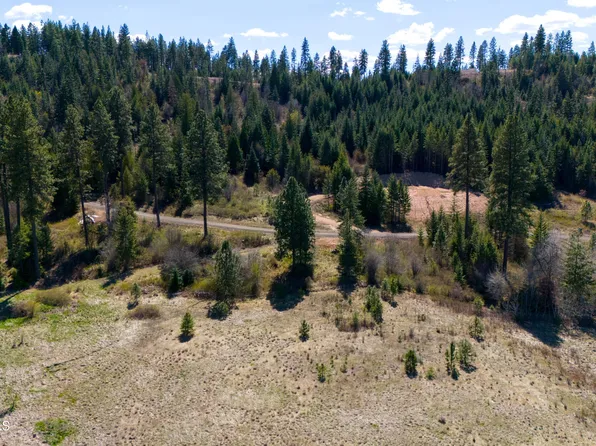 5 Lonely Moose Ln, Plummer, ID 83851
