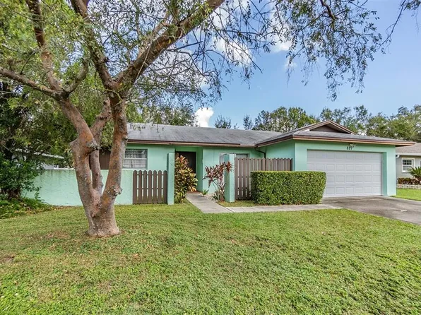827 Ambassador Loop, Tampa, FL 33613