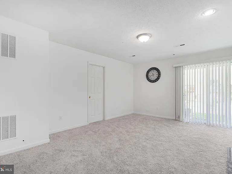18506 Carriage Walk Cir — Photo 42