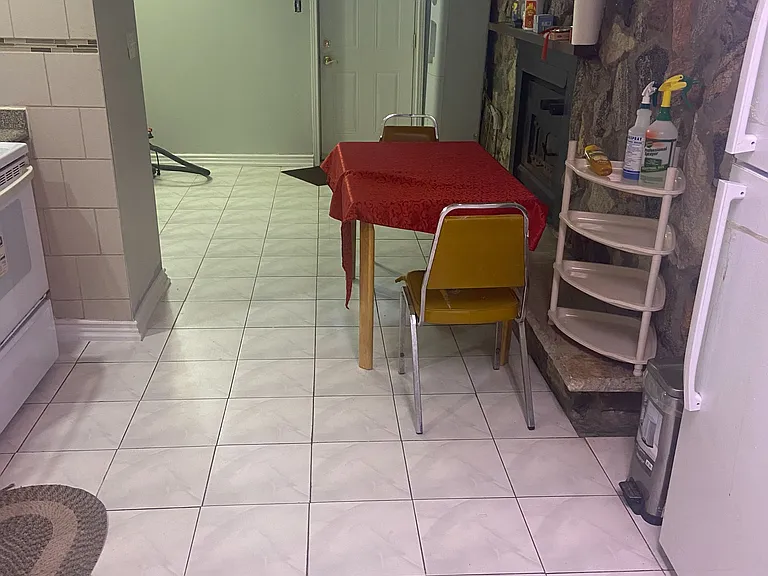 102 Orton Park Rd #BASEMENT — Photo 11