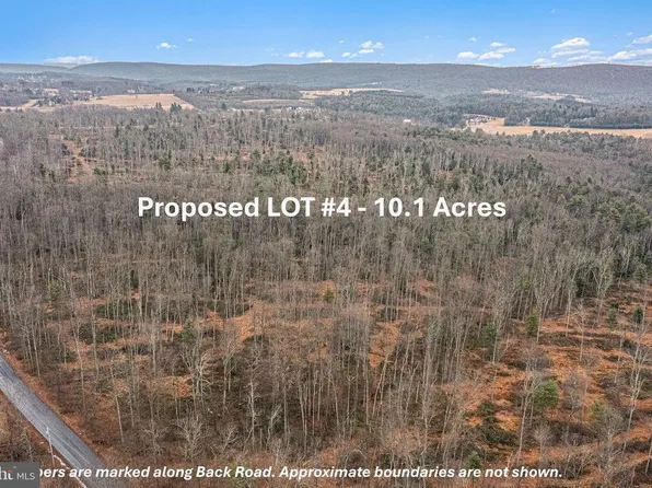 LOT 4 Back Rd S, Barnesville, PA 18214