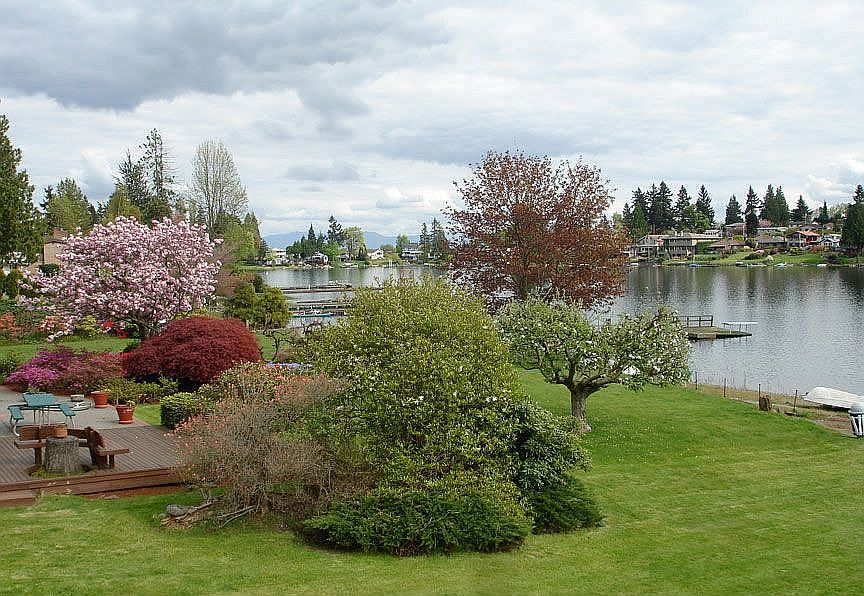 Spring View from deck Left