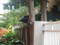1st image of 3115 SW 27th Ave