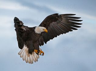 126 Aspen Rd, Dingmans Ferry, PA 18328