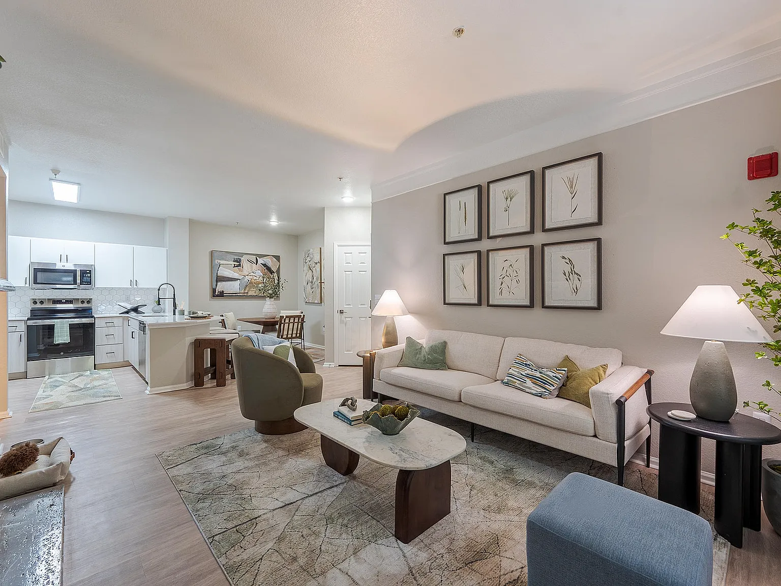 Bristol Village Apartments — Photo 4