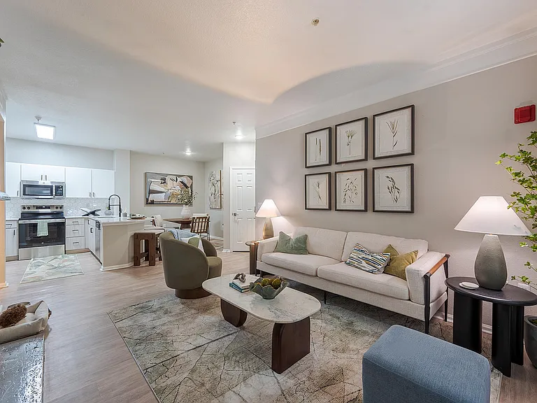 Newly Renovated Living Room