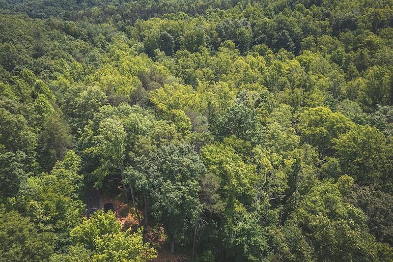 1st image of 7 Dogwood Mountain Ln