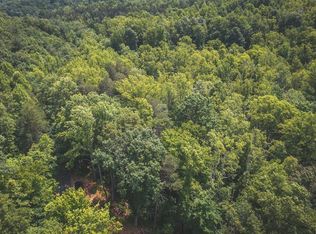 7 Dogwood Mountain Ln, Woolwine, VA 24185