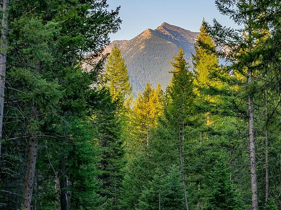 5th image of Nhn Lindbergh Lake Rd