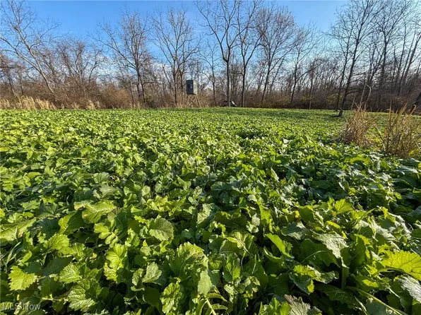 0 Homestead Dr, New Concord, OH 43762