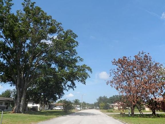 3rd image of 7228 Tiffany Dr